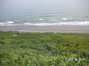 s_PICT0548_thumb.png